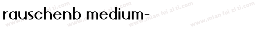 rauschenb medium字体转换